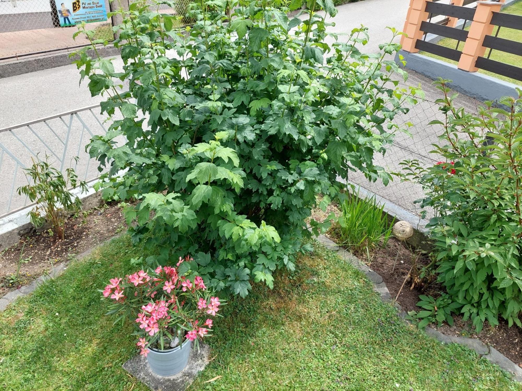 Wohnung Mit Charme In Pinsdorf Zewnętrze zdjęcie