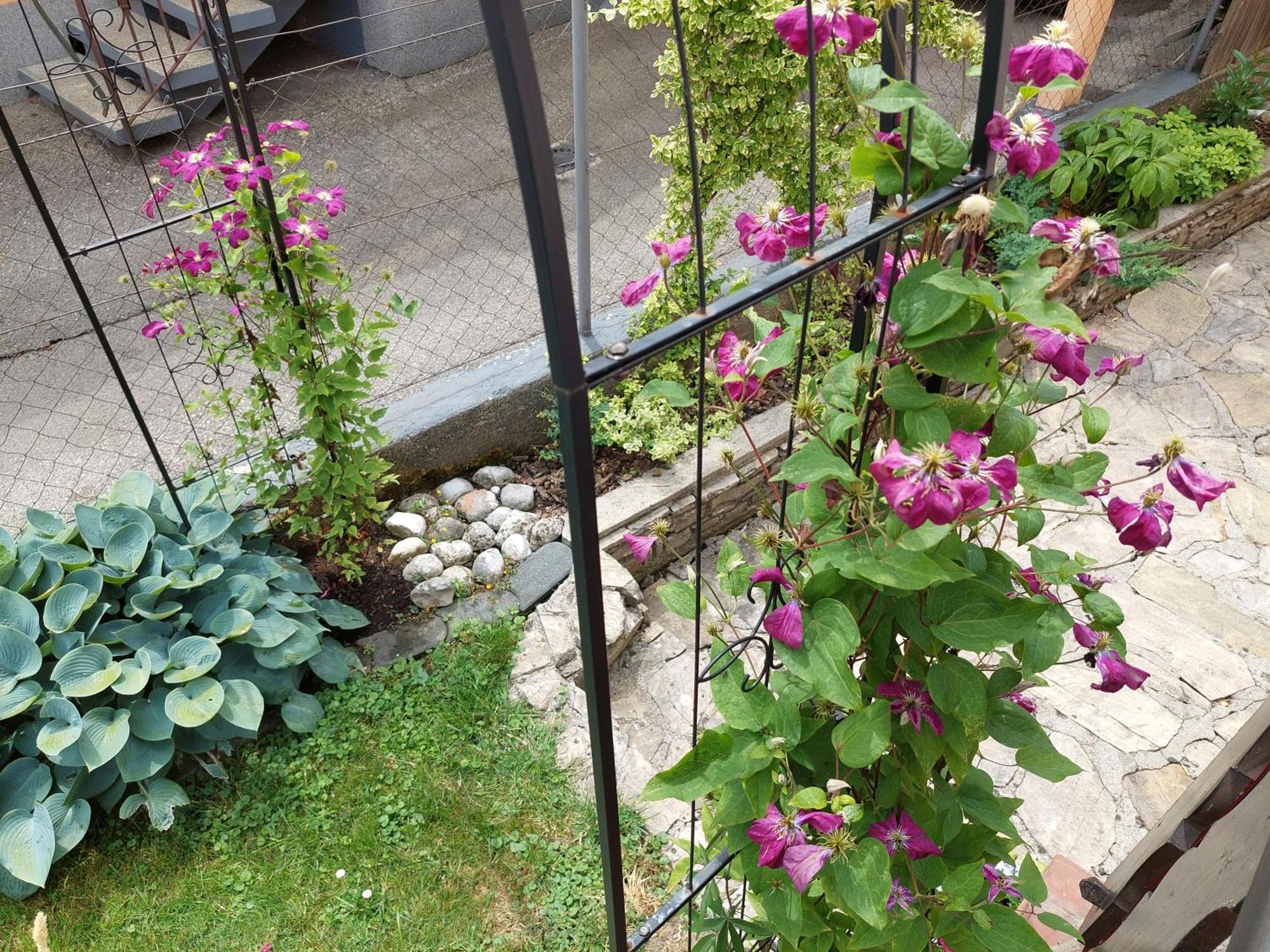 Wohnung Mit Charme In Pinsdorf Zewnętrze zdjęcie