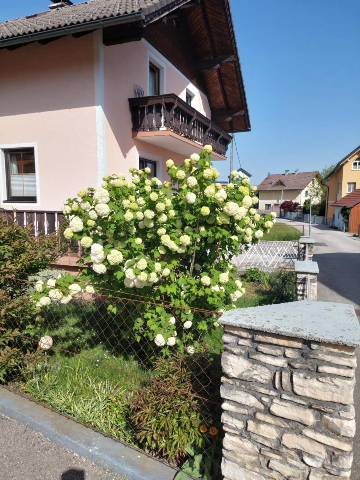 Wohnung Mit Charme In Pinsdorf Zewnętrze zdjęcie
